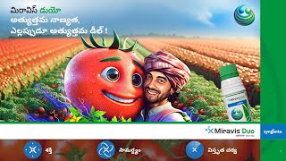 Syngenta  Miravis Duo  Tomato  Motion Poster  Telugu [upl. by Antons]