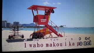 KAIMANA HILA Hawaiian Song唄。mnishi [upl. by Pelmas420]