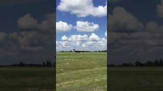 F35B Lightning II Taxiing Back airshow aviation airplane trending shorts viralvideo wow [upl. by Eleynad]