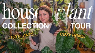 HOUSEPLANT TOUR 🪴 my collection of 150 plants  fall 2023 [upl. by Friedlander]