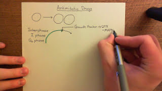 Antimitotic Drugs Part 1 [upl. by Chitkara248]