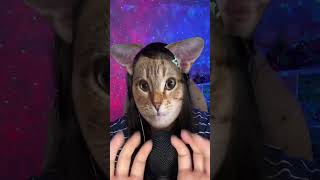 ASMR  😺  asmr LitchiASMR asmrnotalking asmrsounds asmrsound asmrfyp asmrvideo relaxing [upl. by Yendroc]