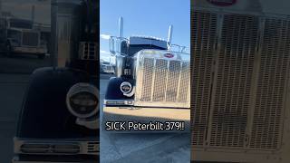 Slammed Peterbilt 379 [upl. by Eelrebma]