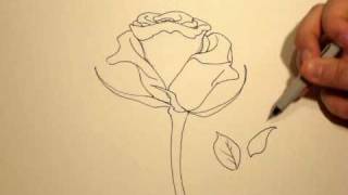 How to Draw a Rose with a Sharpie 1 [upl. by Atiluap]