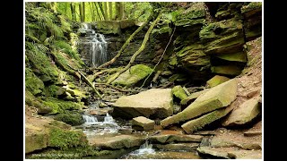 Barfuß wandern in der Margaretenschlucht Odenwald [upl. by Appilihp]