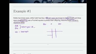 Genetics Example 1  Complete Dominance Monohybrid [upl. by Oilasor]