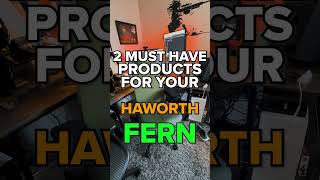 New Haworth Fern Two Must Have Accessories [upl. by Liggett]