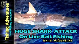 Huge shark Attack Fishing דייג כריש ענק נתפס [upl. by Reilly]