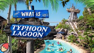 What is Disneys TYPHOON LAGOON  Walt Disney World  2024 [upl. by Aliban]