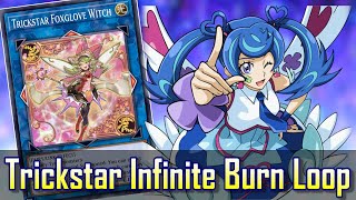 Trickstar Infinite Burn Loop FTK Foxglove Witch ver YuGiOh Duel Links [upl. by Ynnaj502]