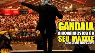 Gandaia  Seu Maxixe  Música Nova 2012 [upl. by Enisamoht]