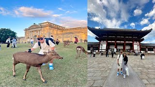 Visiting Nara Deer Park With Her ❤️ [upl. by Willey824]