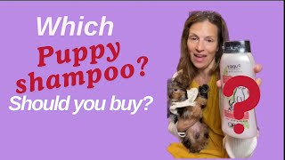 I tested 5 dog shampoos You might be surprised which I like best [upl. by Buonomo833]