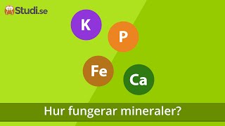 Hur fungerar mineraler Biologi  wwwbinogise [upl. by Ko]