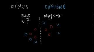 Dialysis Basics [upl. by Oralia]