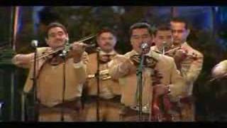 Mariachi Los Camperos  Los Pollitos [upl. by Menell]