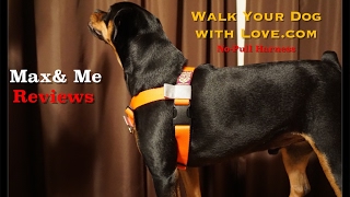 Walk You Dog With Love No Pull Harness review [upl. by Savadove996]