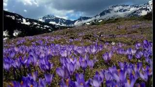 MythosPlaninata and Bulgarian Nature [upl. by Hubble]