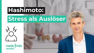 Hashimoto So wirkt sich Stress auf die Schilddrüse aus 🩺​ Dr Jens Freese [upl. by Nirro]