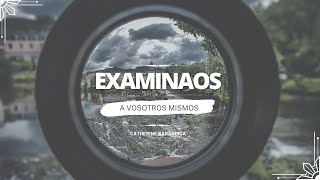 423 🇪🇸 Examinaos A Vosotros Mismos  Catherine Barandica CCILondon [upl. by Stevana]