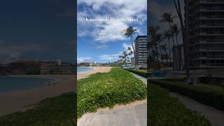 Kaanapali Beach is mostly empty 6 weeks after the Maui Fires🔥 kaanapali lahainafires maui [upl. by Enneyehs]