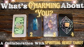 What Makes You So Charming 🤩💗😍 Collaboration W spiritualbeasttarot  Timeless Tarot [upl. by Erodeht72]