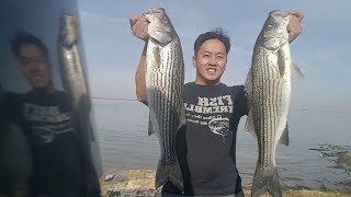 Trolling Umbrella Rigs for Deep Stripers at San Luis Reservoir [upl. by Cornew577]