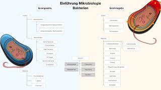 Mikrobiologie Einführung [upl. by Calan]