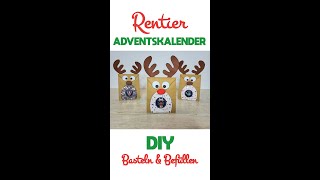 DIY RentierAdventskalender selber basteln [upl. by Amalee]