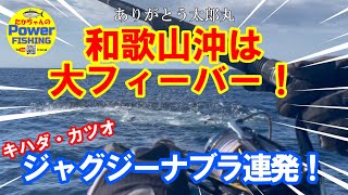 【ありがとう太郎丸】和歌山キハダキャスティング～キハダ・カツオナブラ大爆発～ [upl. by Cutter]