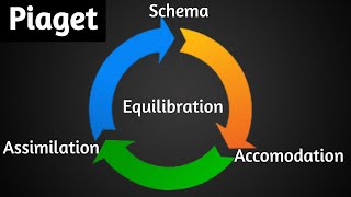 Piaget  Assimilation Accomodation Equilibration Schema  Green Star [upl. by Acinorehs]