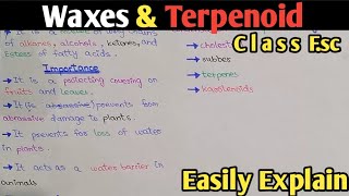 Waxes And Terpenoid Structure Functions  Class 11 UrduHindi [upl. by Boleyn]