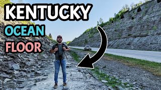 We Found Crystal Filled GeodeFossils and SquidLike Sea Creature Remains in Kentuckys Roadcuts [upl. by Melessa147]