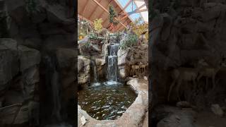 Cabela’s ❤️☀️cabelas bassproshop asmr [upl. by Lehcor]