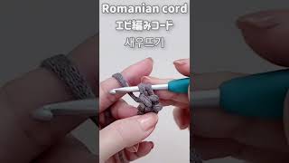 Romanian cord 새우뜨기 エビ編みコード カバンの持ち手の編み方 [upl. by Dadirac892]