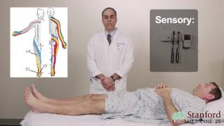 Approach to Low Back Pain Physical Exam  Stanford Medicine 25 [upl. by Travis]