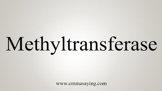 How To Say Methyltransferase [upl. by Quintessa]