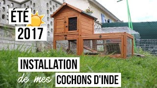 Installation pour lété de mes cochons dinde │ 2017 [upl. by Nidnal]