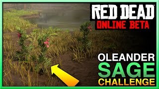 Red Dead Redemption 2 Online Oleander Sage Locations  Red Dead Online Daily Challenge Guide [upl. by Airehc]