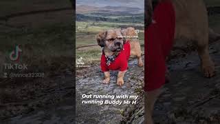 Orrest Head Windermere Best Buddy Mr H Running Cycling Walking in Britain 🇬🇧 runn [upl. by Melita]