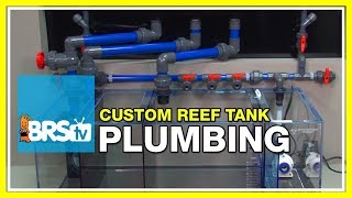 Week 5 Plumbing Overflows and Return Pumps  52 Weeks of Reefing [upl. by Ronacin]