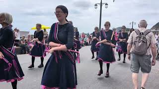 Sidmouth Folk Festival 2024  Saturday Procession [upl. by Enilauqcaj638]