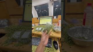 ‼️Cardamom auction…………………… cardamom entrepreneur bussiness youtubeshorts spices auction [upl. by Kelly]