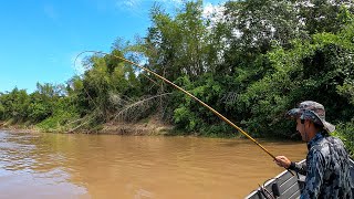 A VARINHA ENVERGOU NA PESCA DE PEIXE DE COURO Pescaria Rio Miranda [upl. by Yrdnal]