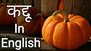 कद्दू in English  Kaddu ko english me kya kahate hain  Kaddu In English [upl. by Herculie615]