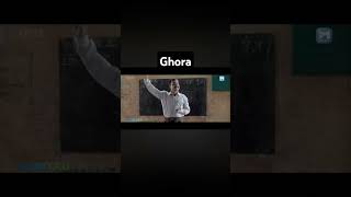 Lambi race ka ghora shortvideo youtube youtubeshorts ytshorts motivationline18 [upl. by Yssirhc]