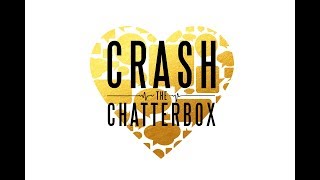 Crash The Chatterbox  Week 3 [upl. by Halimaj913]