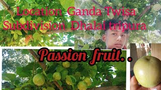 passion fruit bagan Location Ganda Twisa subdivision dhalai tripura Swasti molshoykhakchang ha [upl. by Conard346]