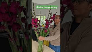 Bunga potong Gladiol s171 [upl. by Linson]