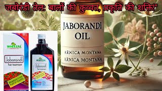 Jaborandi Hair Oil ॥ Wheezal Jaborandi तेल के फ़ायदे और इस्तेमाल करने का सही तरीका ॥ [upl. by Maurizia283]